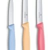 Victorinox Schilmessenset Pastel - 3-Delig -Keukenbenodigdheden Winkel 7613329141885 1