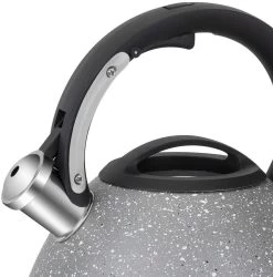 Resto Kitchenware Fluitketel Lyra - Zilver - 2.7 Liter -Keukenbenodigdheden Winkel 90605.4260403577325.ver06