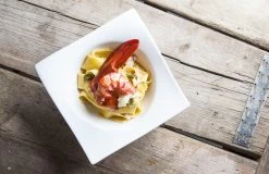 Maxwell & Williams Kleine Kom Motion 11 X 11 Cm / 170 Ml -Keukenbenodigdheden Winkel Motion sfeer6