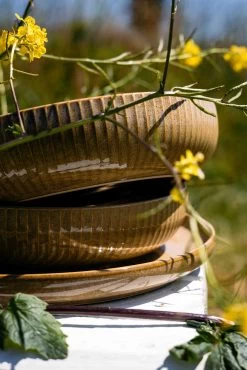 Jay Hill Diepe Borden Silhouette ø 21 Cm - 4 Stuks -Keukenbenodigdheden Winkel Resize Silhoutte Geel 5 1