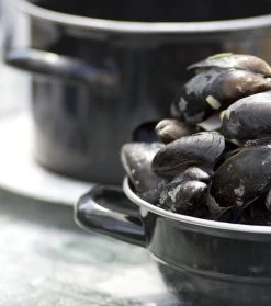 Cosy & Trendy Mosselpan - Oranje - ø 18 Cm / 2.8 Liter 12 Cosy & Trendy Mosselpan - Oranje - ø 18 Cm / 2.8 Liter -Keukenbenodigdheden Winkel mosselpan 4